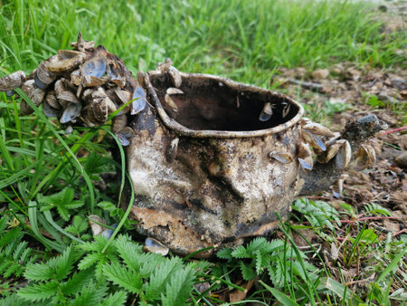 Old iron pot on the grass. Close-up.の写真素材