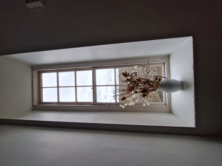 Window with dried flowers in the corner of a room with concrete walls