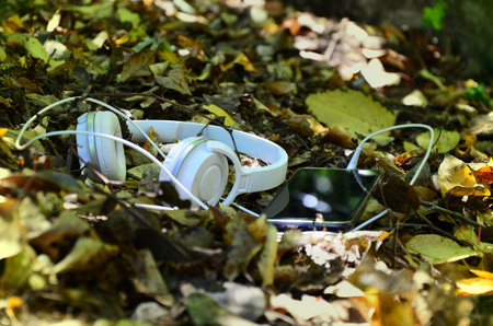 Music for the ears and nature for the soulの写真素材