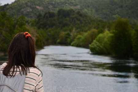 woman look at the landscape, river and forest on a bridge in southern Argentinaの写真素材