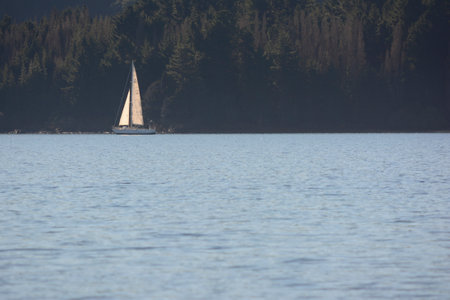 sailboat sailing on a lake, on the horizon of mountains and forest. Navigation in the Argentine Patagonia near Barilocheの写真素材