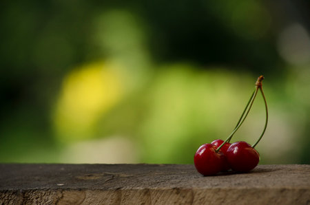 cherries resting on wood very fresh and delicious to shareの写真素材