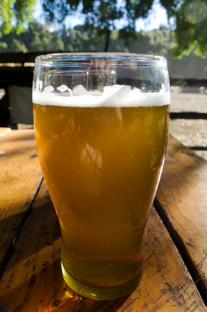 Close-up of glass of lager or gold beer or lager, on wood in outdoor bar, beer park