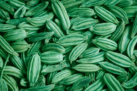 green fennel seeds texture background, close upの写真素材