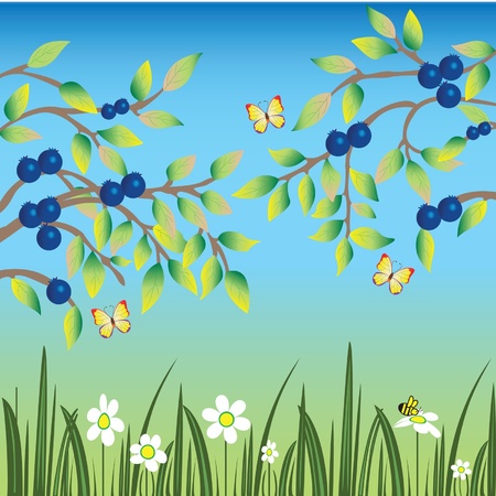 Blueberries, butterflies and beesのイラスト素材