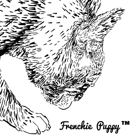 Side portrait of a French bulldogのイラスト素材
