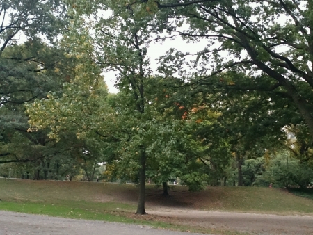 Central Park New Yorkの素材