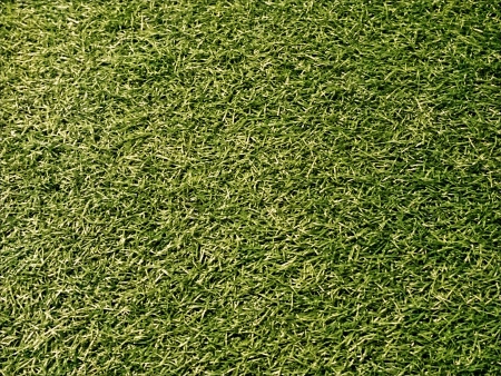 Green Grass Backgroundの素材