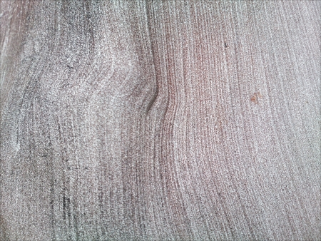 Wood Trunk Texture.の素材