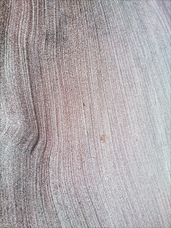 Wood Trunk Texture.の素材