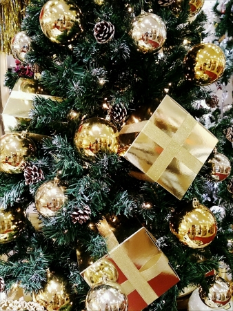 Close-up of Christmas Tree.の素材