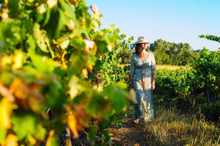 Portrait of a beautiful young woman with hat in the vineyardの写真素材