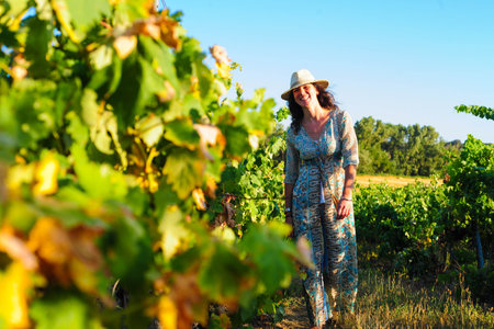 Young woman in a vineyard in Provence, France.の写真素材