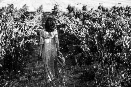 Portrait of a beautiful young woman with hat in the vineyardの写真素材