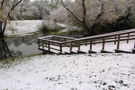 Overlook at Mission River Refugio Texasの写真素材