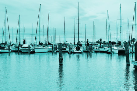 The marina in Corpus Christi Texas.の写真素材