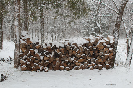 A stack of firewood covered in snow.の写真素材