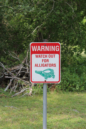 A warning sign to watch out for alligators at the park in Refugio, Texas.の写真素材