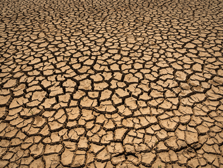 dried and cracked soil in arid season.の写真素材