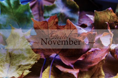 Background of autumn leaves. Autumn backgroundの写真素材