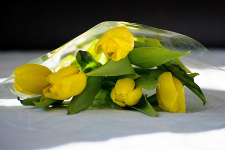 Beautiful yellow tulips. Bouquet tulipsの写真素材