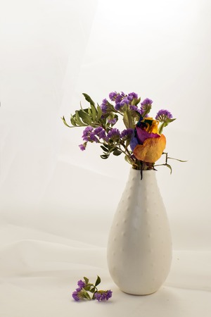 Colorful of rainbow roses flower.の写真素材