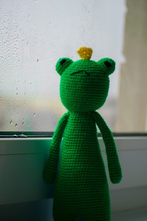 Knitted frog on on the window.の写真素材