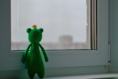 Knitted frog on on the window.の写真素材