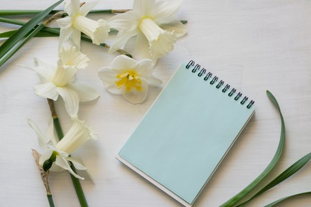 Notepad, daffodils on a white background. Spring flowers.
