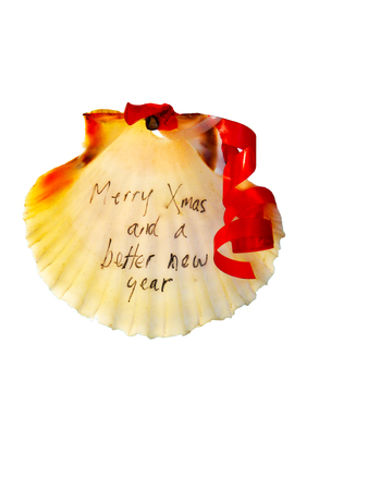 Christmas inscription on the shell. Merry Christmas on the shell.