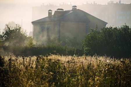 Foggy morning in the field. Vintage nature. Autumn grass with morning dew in sun light closeup. Fall backdrop.の写真素材