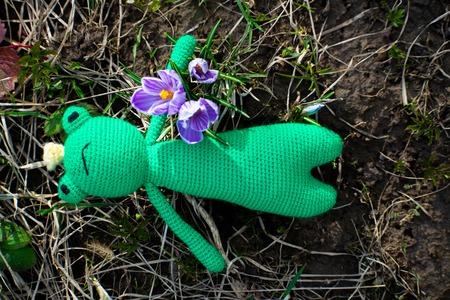 Knitted frog. Handmade toy - green frog for baby. Frog Traveler. Frog princess.の写真素材