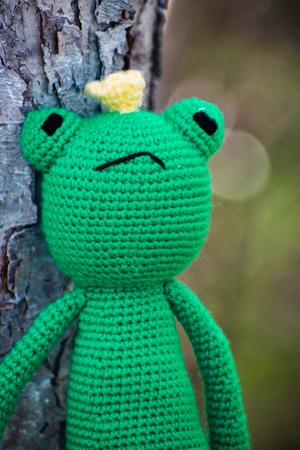 Knitted frog. Handmade toy - green frog for baby. Frog Traveler. Frog princess.の写真素材