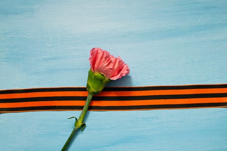 Carnation and St. George ribbon on blue background, symbol of the great Victory, victory day, 9 May backgroundの写真素材