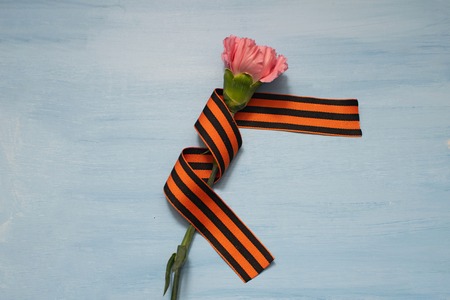 Carnation and St. George ribbon on blue background, symbol of the great Victory, victory day, 9 May backgroundの写真素材