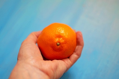 Closeup view of female hand holding orange ripe clementine on blue backgroundの写真素材