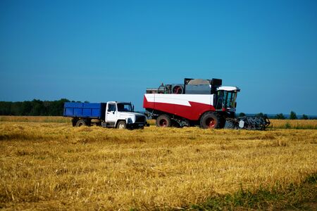Combine harvester in the field of loading grain into agricultural landの写真素材