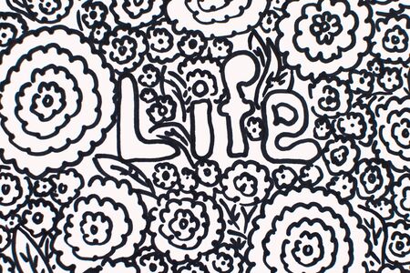 Black and white illustration: peony or ranunculus pattern.