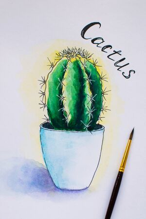 Watercolor handpainted succulent in pot. Hand drawn cactus. Watercolor sketch, illustration.の写真素材