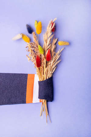 Gray sweater with orange stripes on lilac background. Shopping, discounts, womens fashion.の写真素材