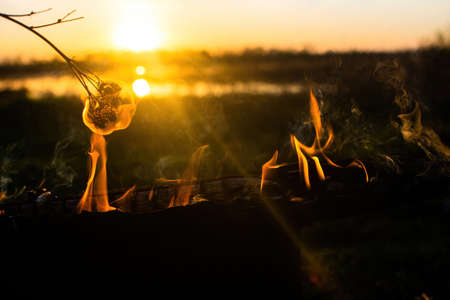 Bonfire at sunset. A romantic evening at the campsite.の写真素材