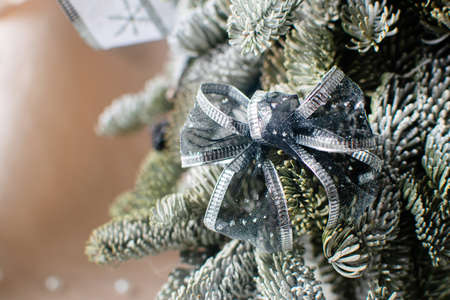 Beautiful decorative Christmas tree Abies Nobilis. New Year and Christmas decor.の写真素材