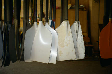 Worn Rowing Oars.