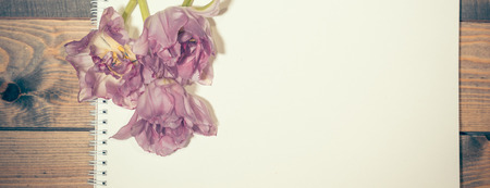 Valentine day composition: white sheet of paper and sflower petalst on wooden background. Toned, memories, romance concept, copy space, bannerの写真素材