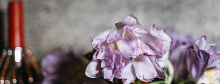 Beautiful light pink tulips bunch at interior, close up, soft blur, toned Pretty a bouquet of tulips...