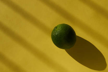 Green lime fruit laying on a yellow background, with dark shadow lines