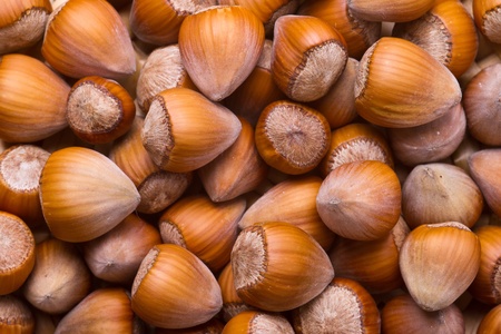 Hazelnut background - top view of fresh hazelnutsの写真素材