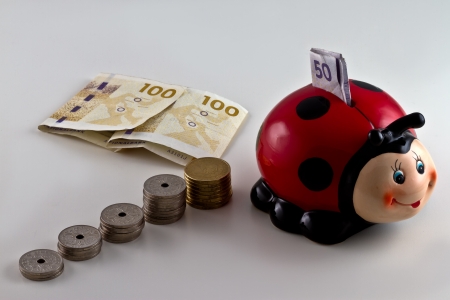 A piggy bank shaped as a ladybird with Danish currency around. isolated on light backgroundの写真素材
