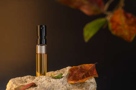 Beautiful glass sprayer bottle standing on a stone. Autumn cosmetic concept composition. Wooden scent perfume sample presentation. Luxury product advertising concept or mockupの写真素材