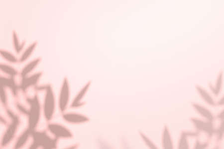 Creative copyspace with shadows on a shiny soft pink wall. Top view of leaves shadows on the pink...